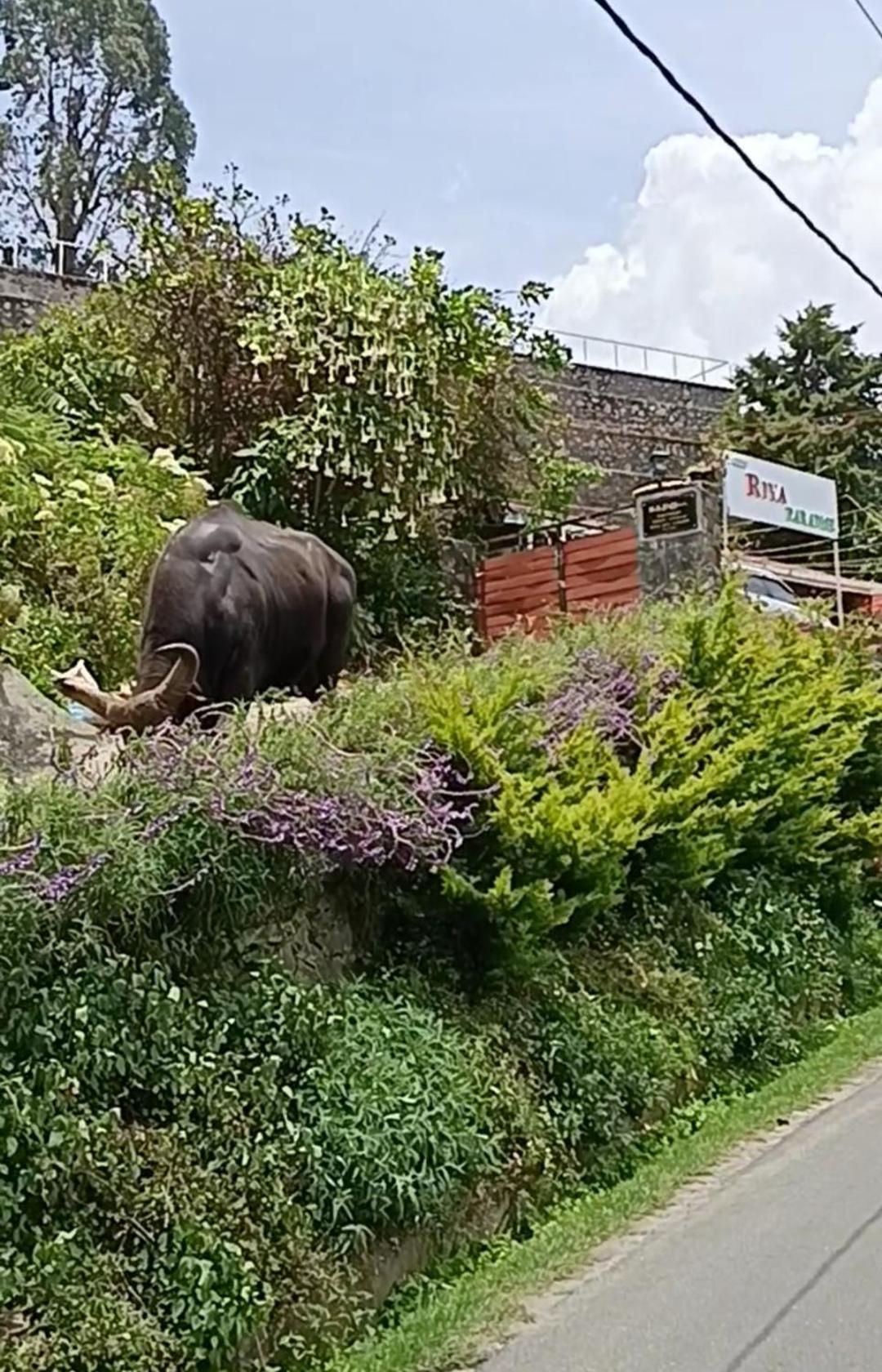 Kodai Riya Paradise Кодайканал Экстерьер фото